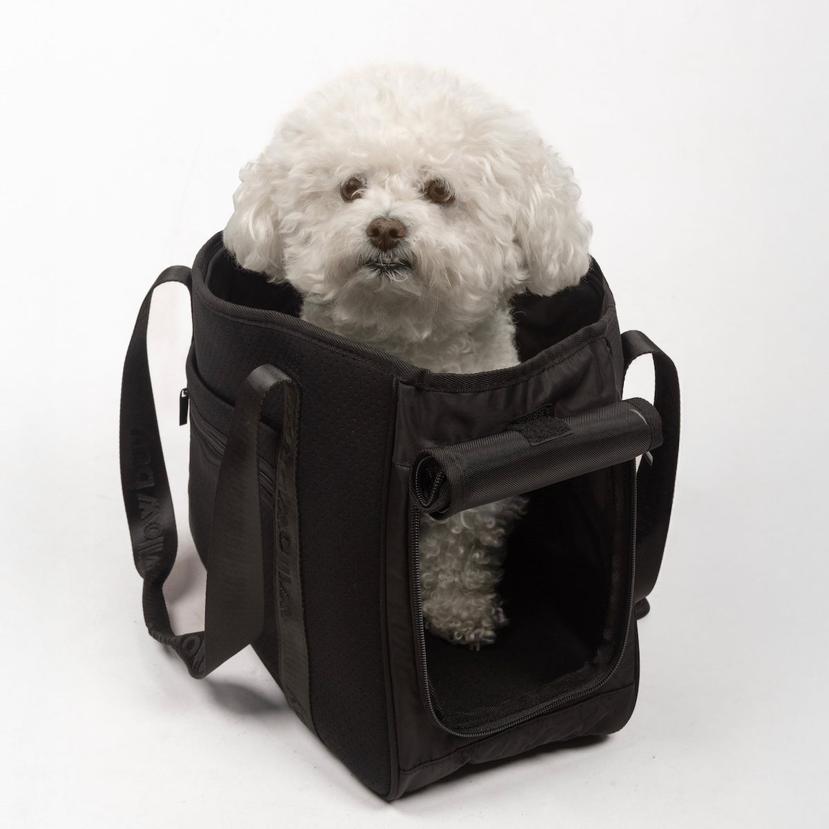 Pet Carrier - BLACK-Willow Bay Australia